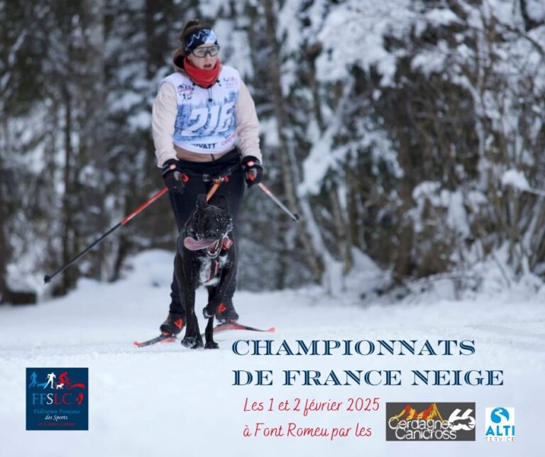 Championnat de France Neige 2025 Fédération Française des Sports et